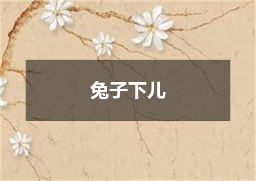 兔子下儿