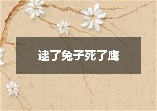 逮了兔子死了鹰