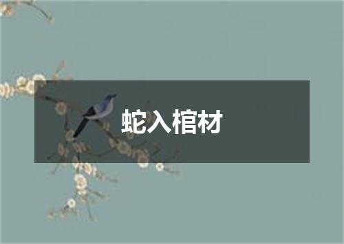 蛇入棺材