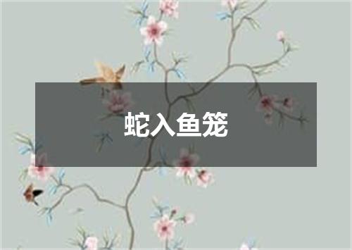 蛇入鱼笼