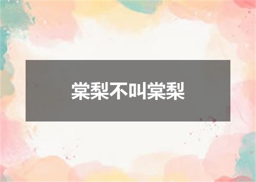 棠梨不叫棠梨