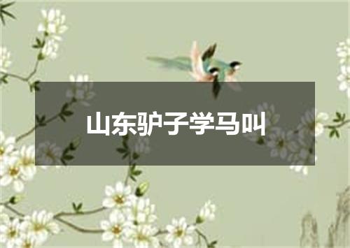 山东驴子学马叫