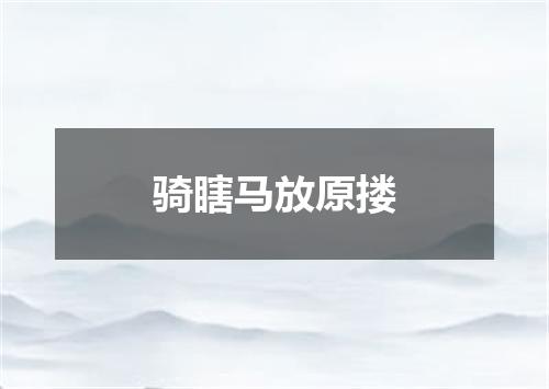 骑瞎马放原搂