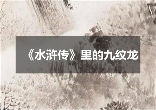 《水浒传》里的九纹龙