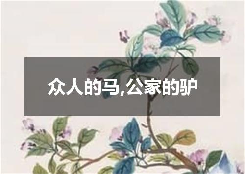 众人的马,公家的驴