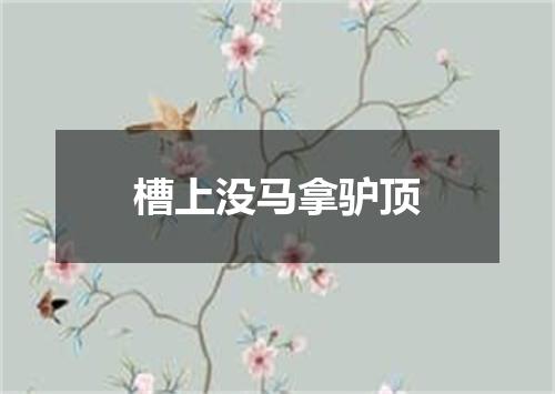 槽上没马拿驴顶