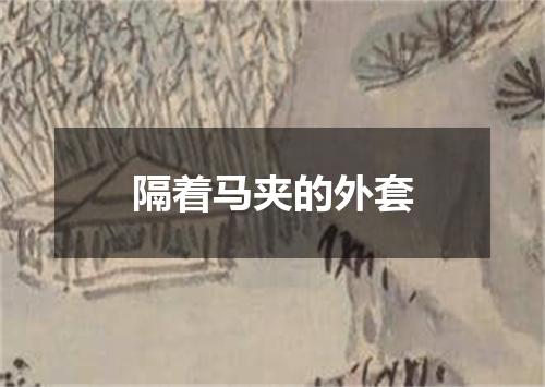 隔着马夹的外套