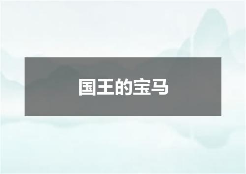 国王的宝马