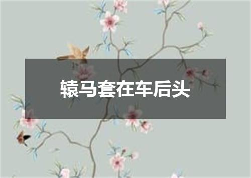 辕马套在车后头