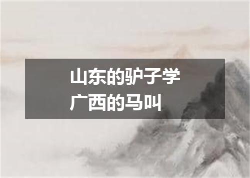 山东的驴子学广西的马叫