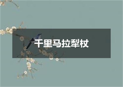 千里马拉犁杖