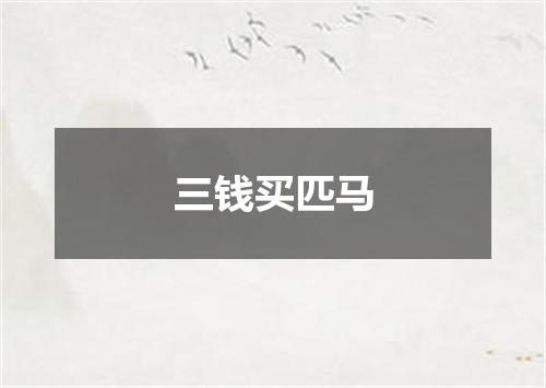三钱买匹马