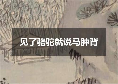 见了骆驼就说马肿背