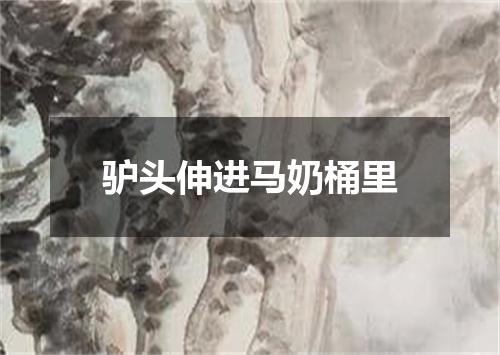 驴头伸进马奶桶里