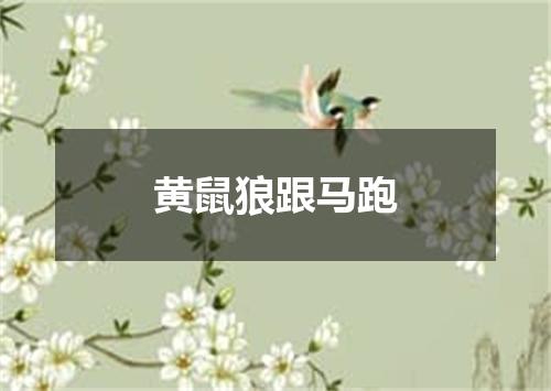 黄鼠狼跟马跑