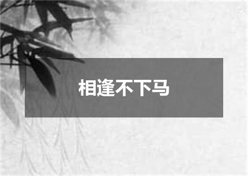 相逢不下马