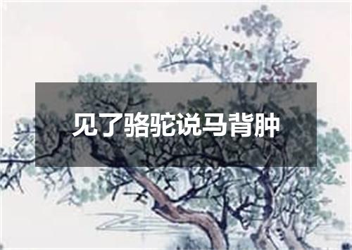 见了骆驼说马背肿