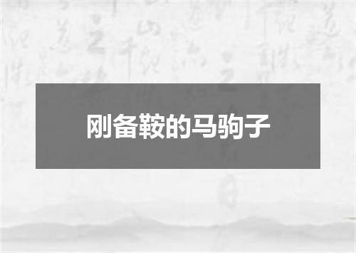 刚备鞍的马驹子