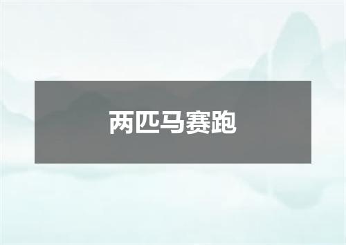 两匹马赛跑