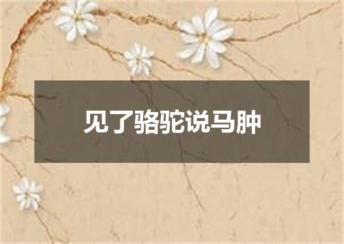 见了骆驼说马肿