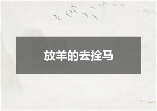 放羊的去拴马