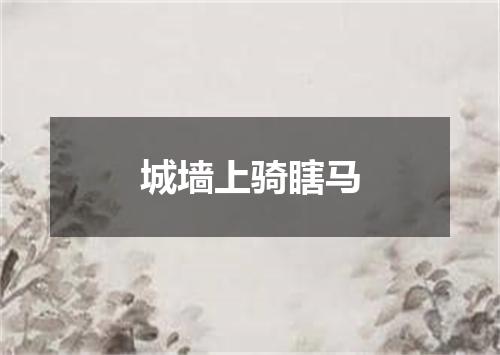 城墙上骑瞎马