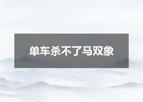 单车杀不了马双象