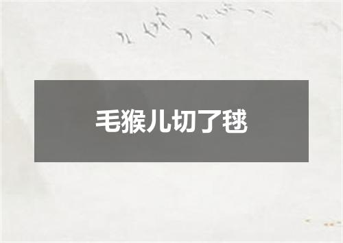 毛猴儿切了毬