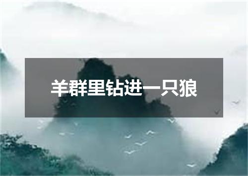 羊群里钻进一只狼