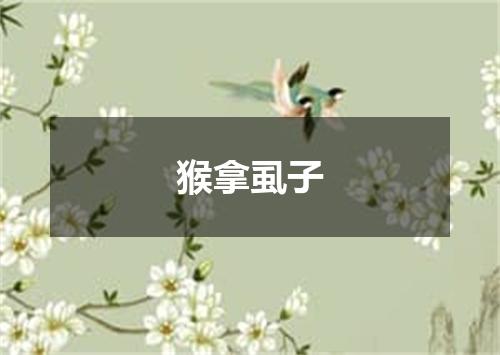 猴拿虱子