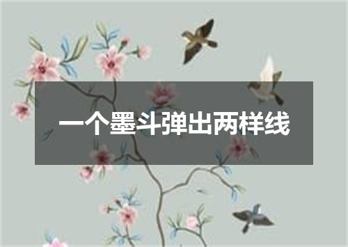 一个墨斗弹出两样线