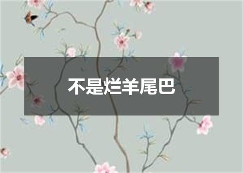 不是烂羊尾巴