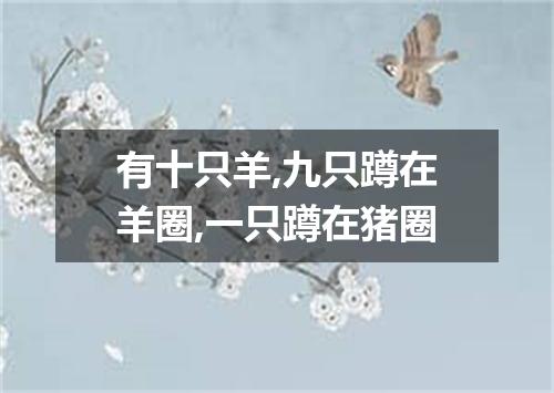 有十只羊,九只蹲在羊圈,一只蹲在猪圈