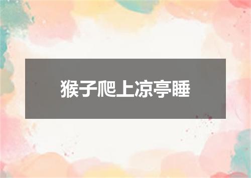 猴子爬上凉亭睡