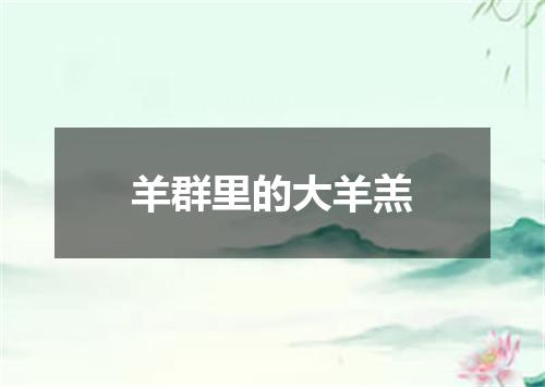 羊群里的大羊羔