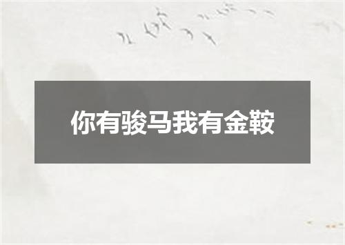 你有骏马我有金鞍