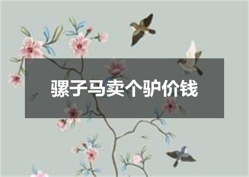 骡子马卖个驴价钱