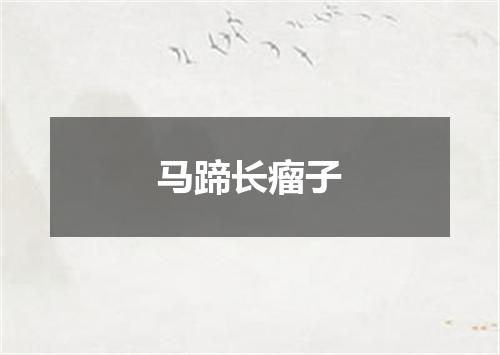 马蹄长瘤子