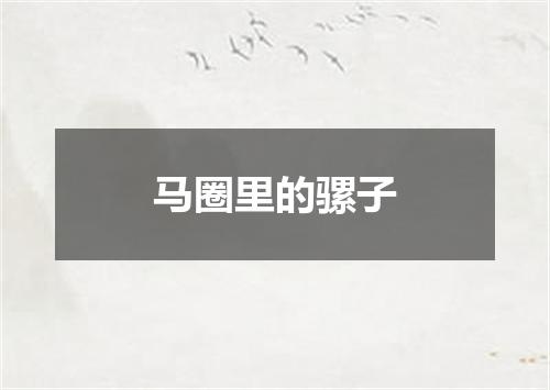 马圈里的骡子