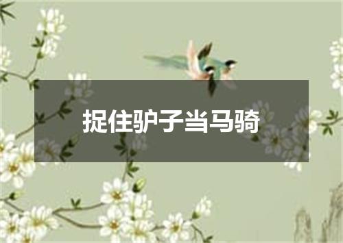 捉住驴子当马骑