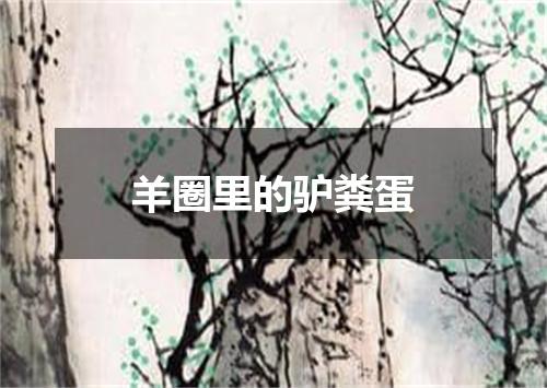 羊圈里的驴粪蛋
