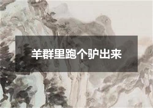 羊群里跑个驴出来