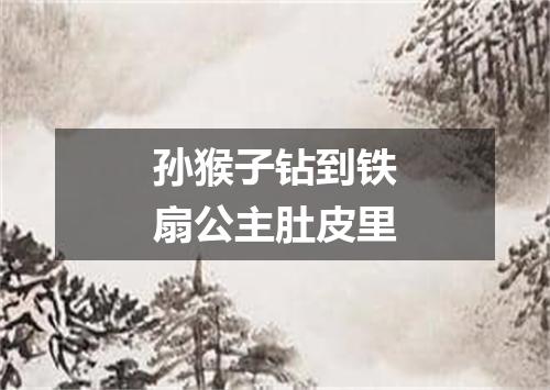 孙猴子钻到铁扇公主肚皮里