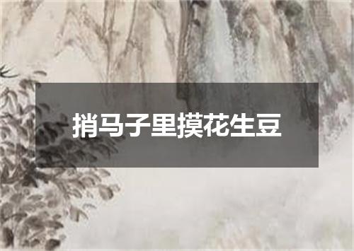捎马子里摸花生豆