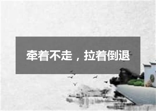 牵着不走，拉着倒退