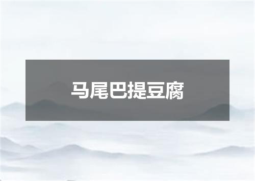 马尾巴提豆腐