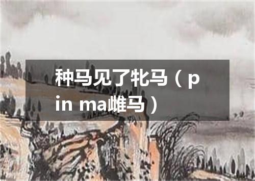 种马见了牝马（pin ma雌马）