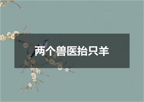 两个兽医抬只羊