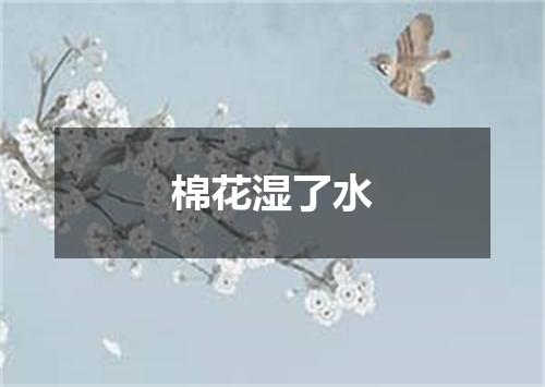 棉花湿了水