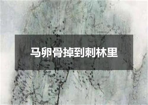马卵骨掉到刺林里